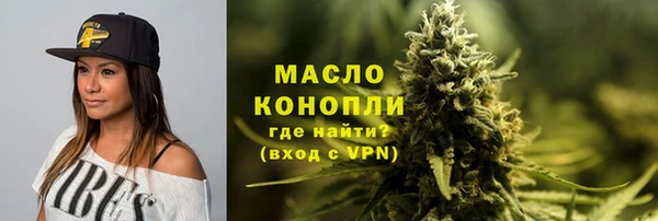 дмт Алексин