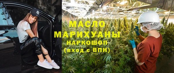 дмт Алексин