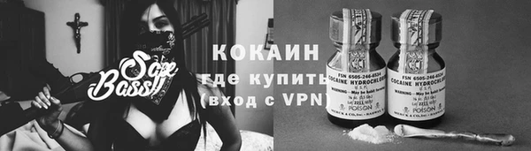 дмт Алексин