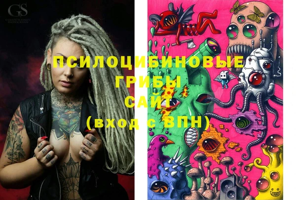 spice Алзамай