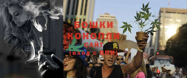 spice Алзамай
