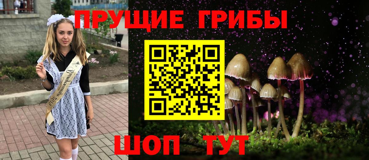 Псилоцибиновые грибы мицелий  Галлюциногенные грибы Psilocybine cubensis  Казань  Вход с VPN 
