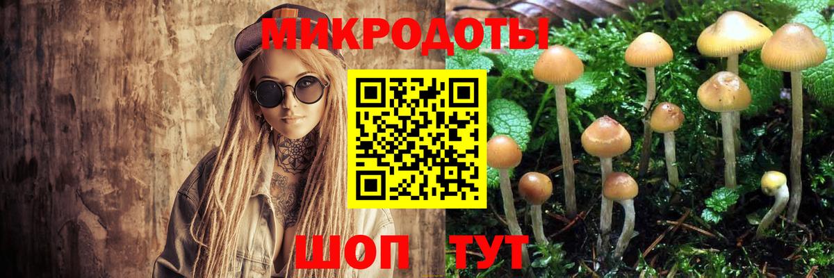 Псилоцибиновые грибы Psilocybine cubensis Казань